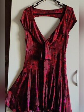 Free People Women’s Dress in Burgundy and Pink
